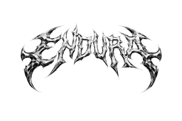 Endura Stickz Logo